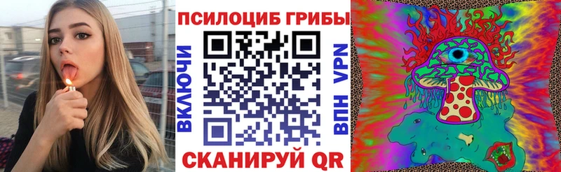 Псилоцибиновые грибы Psilocybine cubensis  Воскресенск 