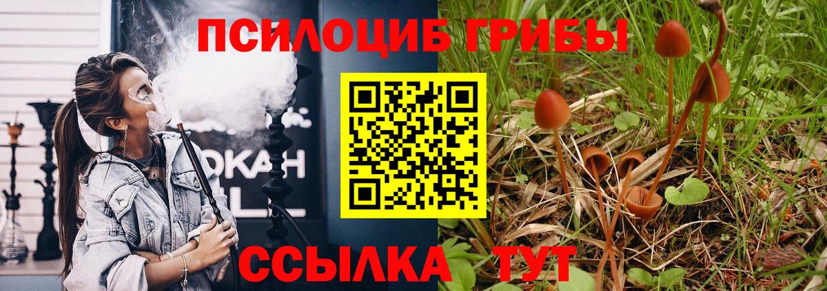Галлюциногенные грибы Cubensis Воскресенск