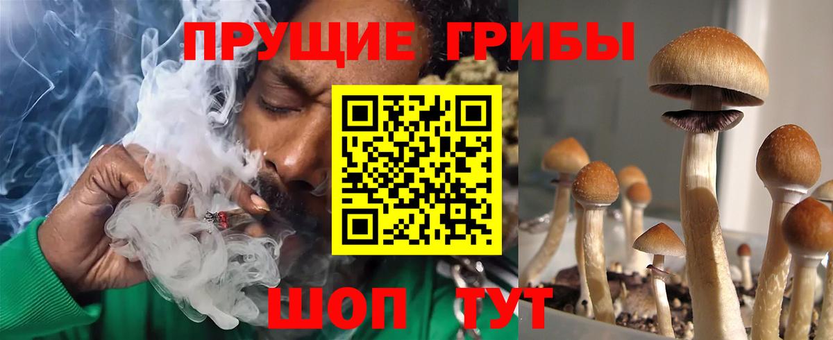 Псилоцибиновые грибы GOLDEN TEACHER  Вход с VPN  Воскресенск 
